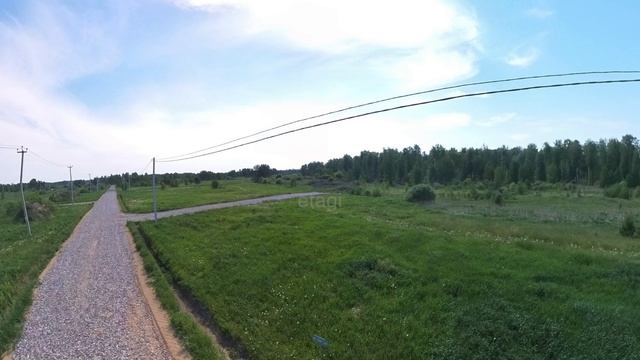 7860436