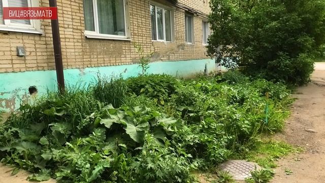 Рейд по проверке должного покоса травы прошел в Вяземском муниципальном округе