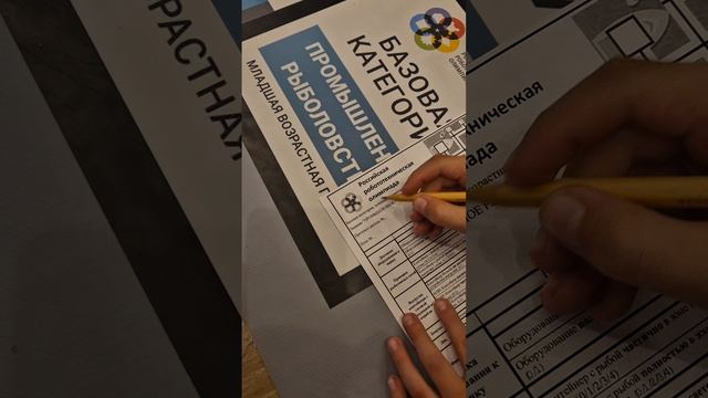 Прямой отбор РРО 2025, команда Ярослав. Мобильная камера