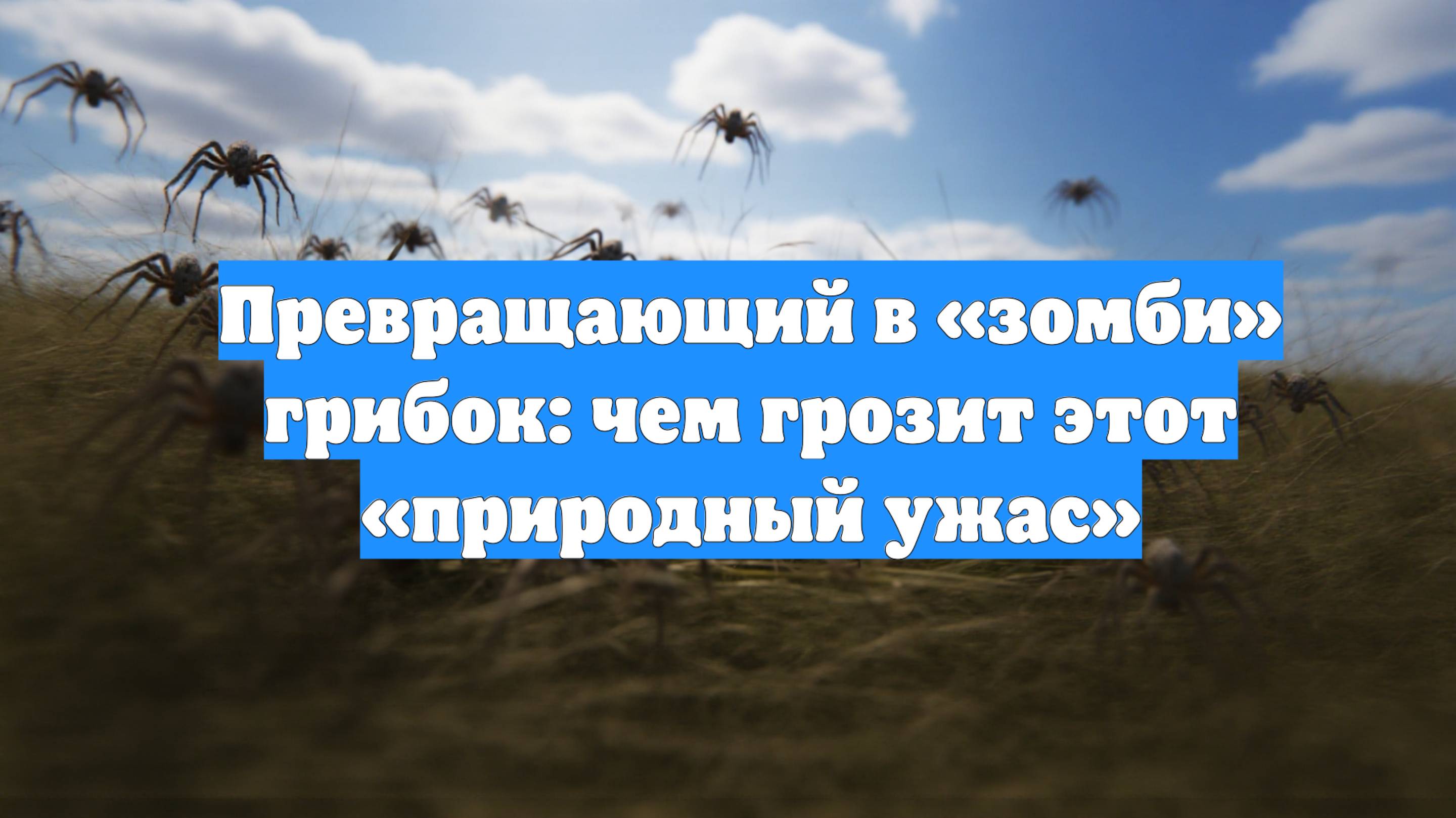 Превращающий в «зомби» грибок: чем грозит этот «природный ужас»
