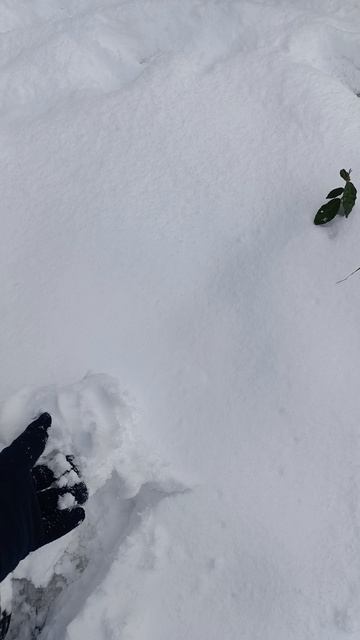 в Сочи
