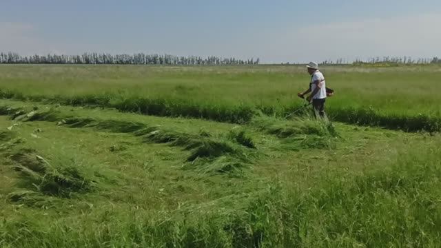 Сенокос - "горячая пора"
