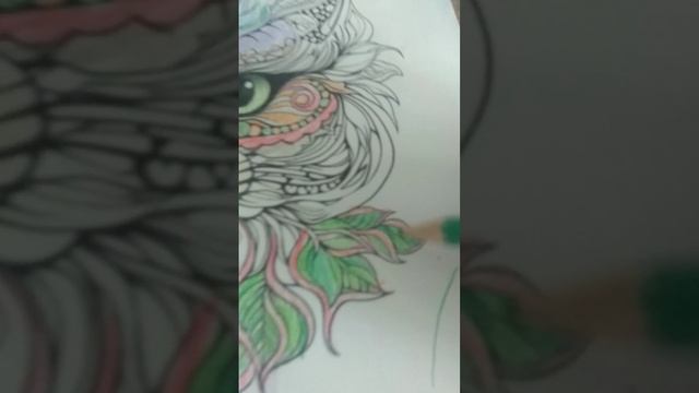 Раскраска котик. Часть 5.