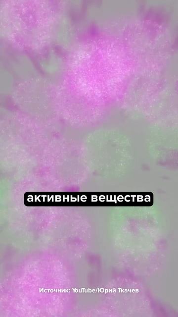 Срочно проверь свой крем! Он бесполезен, если там написано — су... #пищевоеоборудование #технологии