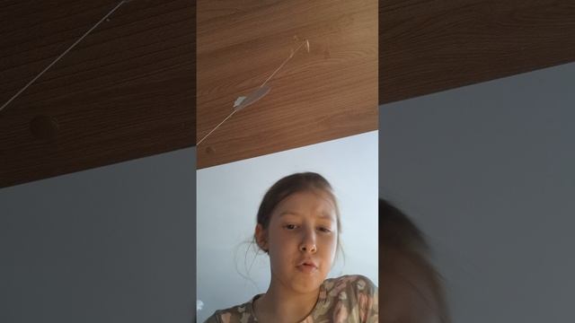 делаю КОТОЛЕНД  для моей кошки МЕРСИК!!!