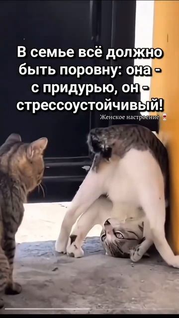 Сильная семья!