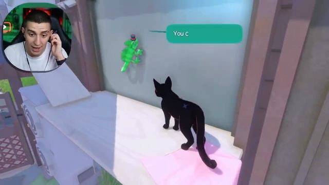 ГЛЕНТ Became a Cat and Got Lost in a Huge City! Story-Driven Game