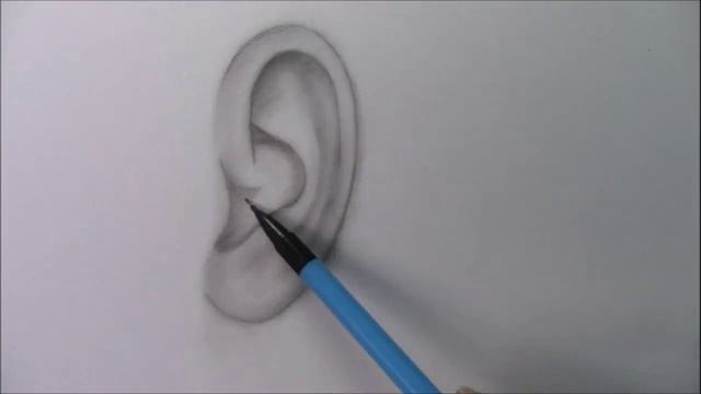 Как нарисовать человеческое ухо карандашом
