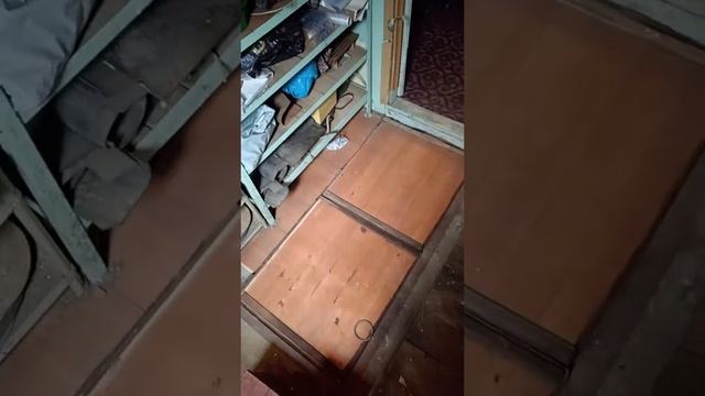 Гений из рилсов превратил обычный бокс для машины в полноценные апартаменты