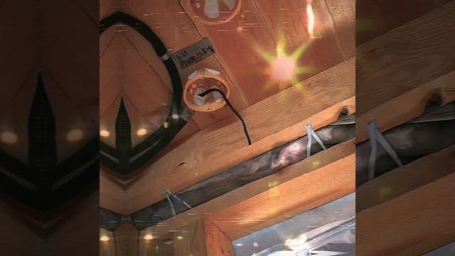 1000025347.mp4 (Собака смотрит на электроснабжение нового дома А-фрейм)
