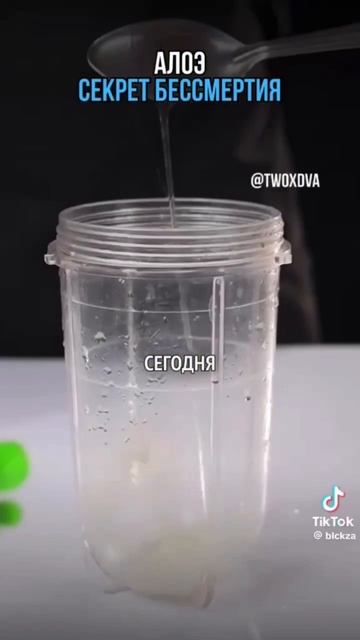 АЛОЭ СЕКРЕТ БЕССМЕРТИЯ