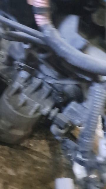 l3