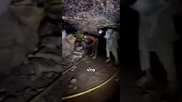А вы знали?