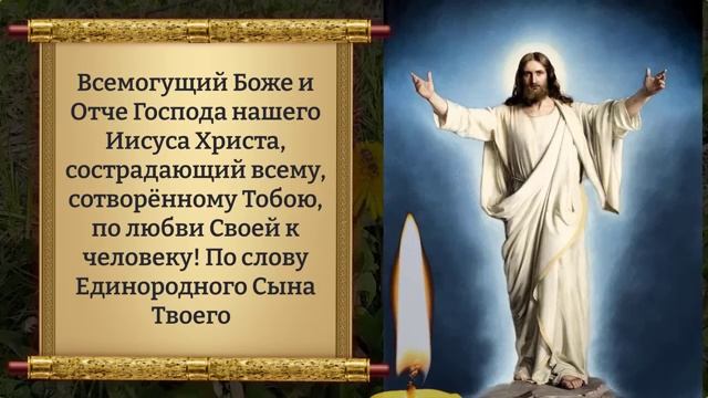 3 июня ДО СВЯТОЙ ТРОИЦЫ ПРОЧТИ 1 РАЗ! УЙДУТ ВСЕ БОЛЕЗНИ! Сильная молитва об исцелении. Православие (
