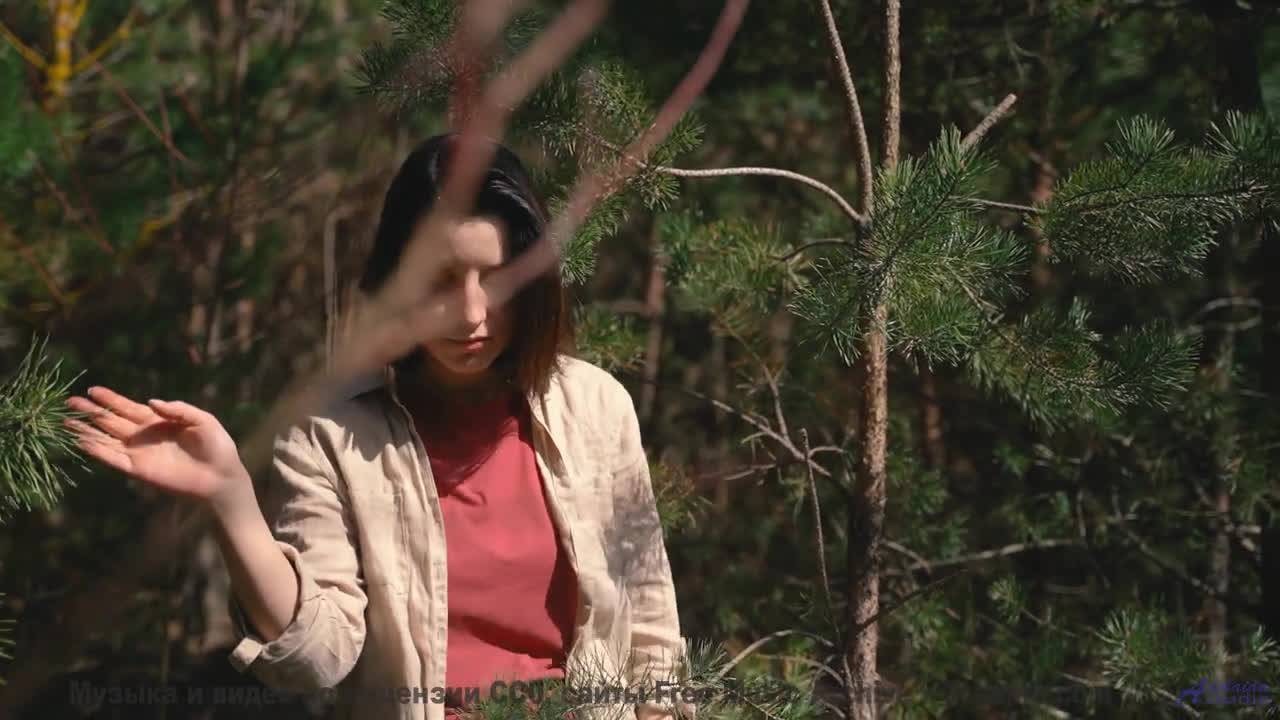 Леса становятся ближе с каждым новым аккордом - Tick Tock -- Glad Rags -- Wonder Under