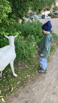 Пейте дети козье молоко, будете здоровы! 😁🥛