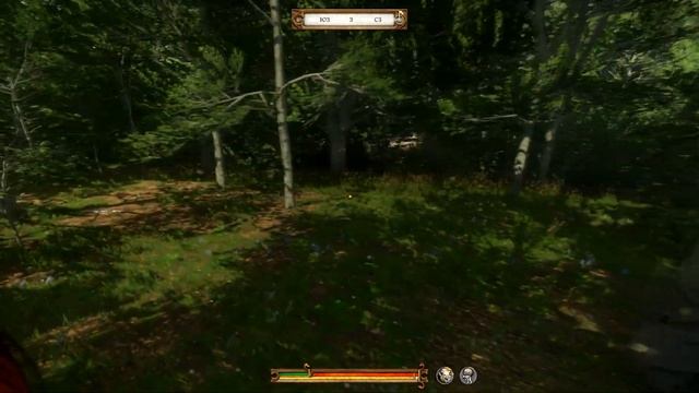 Kingdom Come: Deliverance | Карта сокровищ II