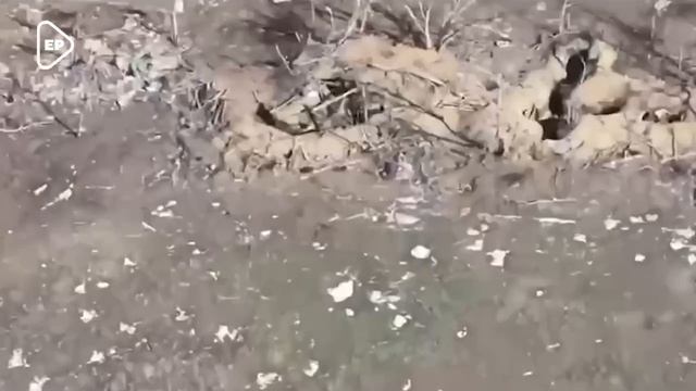 Кадры поражения украинской техники российскими FPV-дронами #спецоперация #технологии #Россия