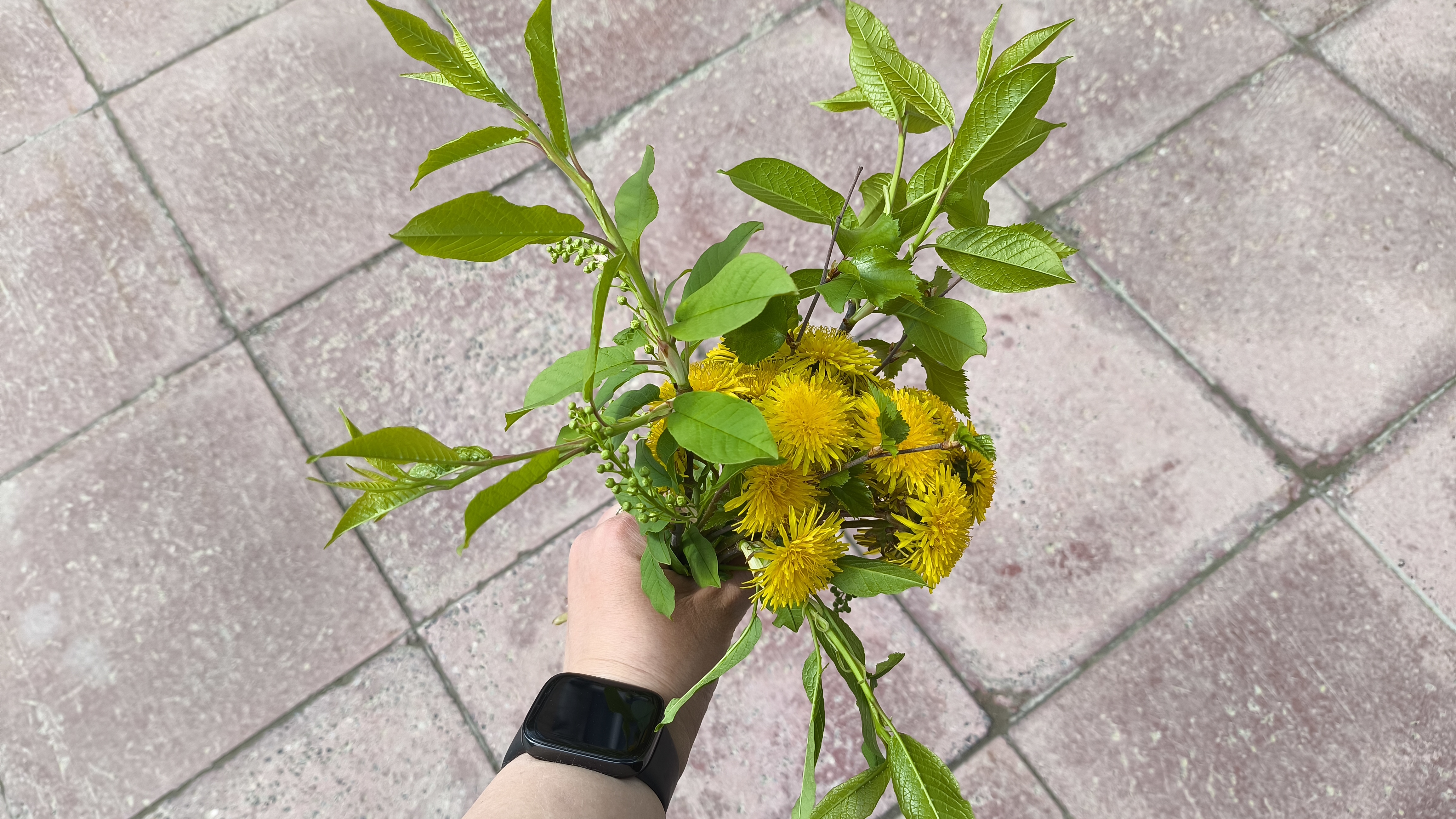 ОДУВАНЧИКИ 💮 +25 жары 🥵 и дожди 🌦️