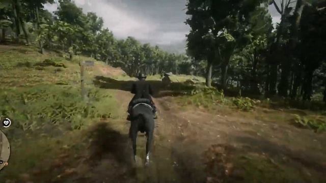 Red Dead online   серия 36   Роль Коллекционера часть 13