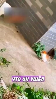 Новостничок (291)