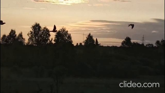 2 гонка. 348км. Московский регион. Старт 1 июня 2025 года.