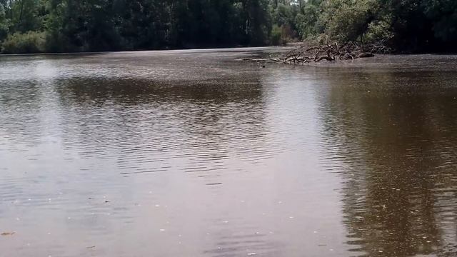 озеро в деревне.звуки природы