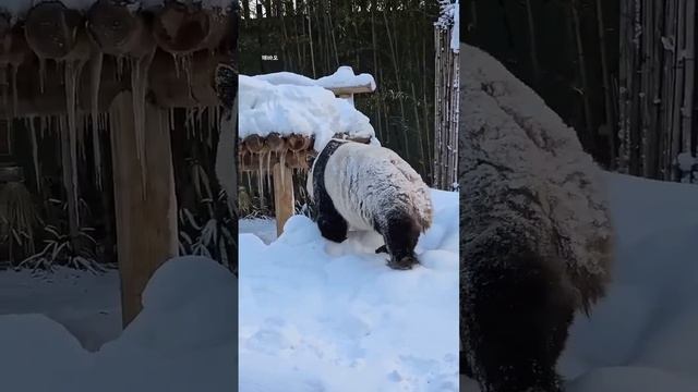 Беззаботные денечки выглядят именно так!)