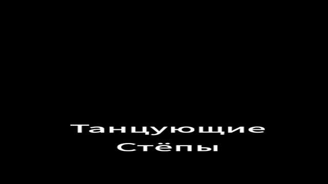 танцующие Стёпы