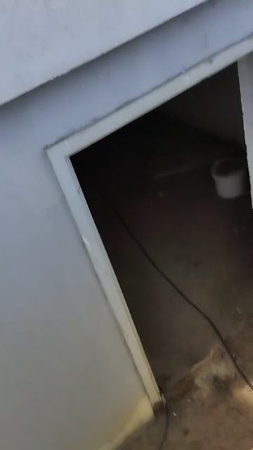 Худякова, 19