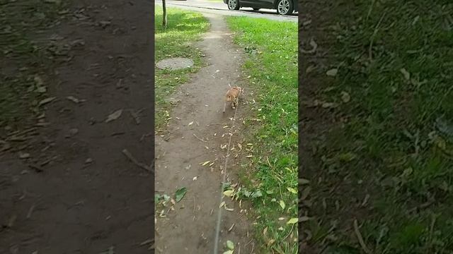 Самый бодрый у нас Сеня