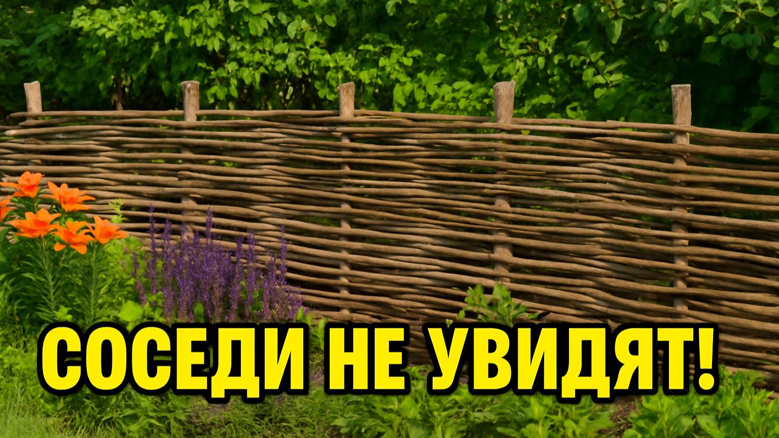 Соседи не увидят! Как красиво и дёшево закрыть участок?