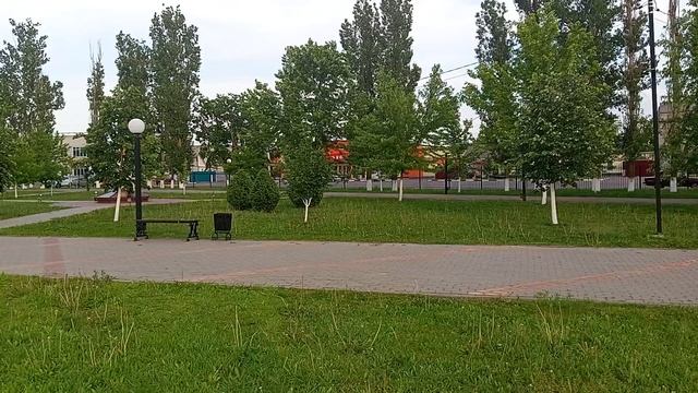рп Таловая, парк 03-06-2025