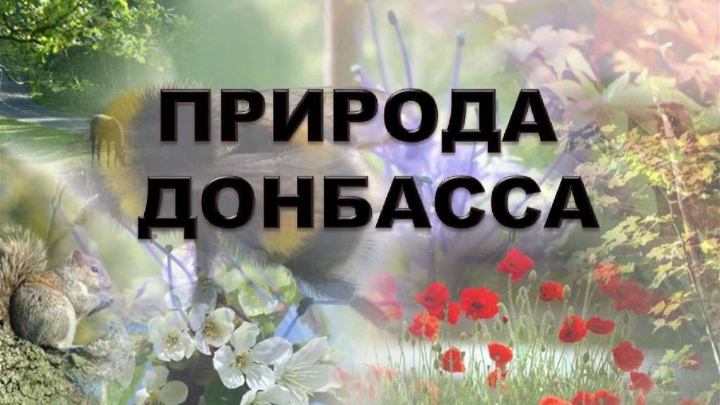 Природа Донбасса - 29.01.2024