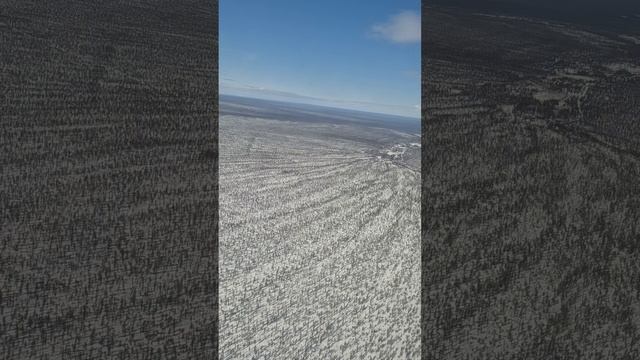 Самолет в Новосибирск. Аэропорт Толмачево