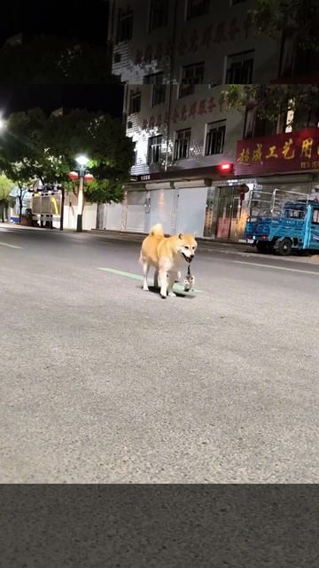 1000102733.mp4