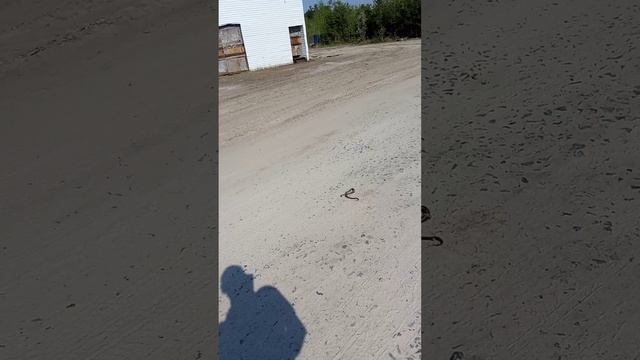 1000021654.mp4