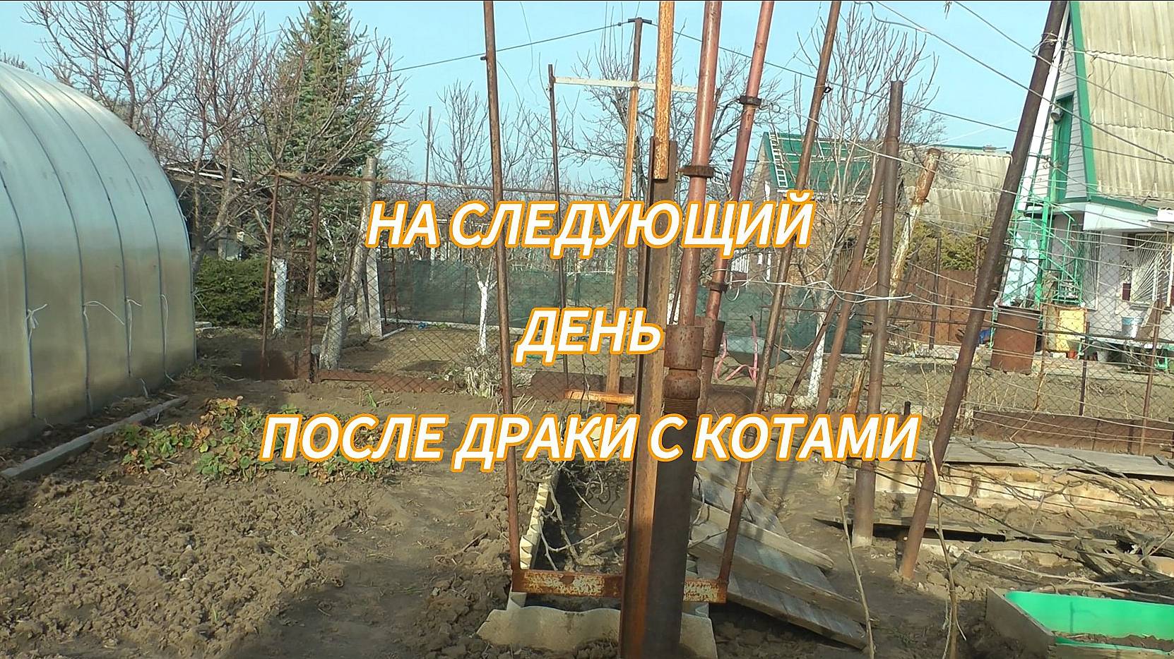 5. Котосериал Барсяткин. 2 сезон ВЕСНА. 2 серия. На следующий день, после драки с котами
