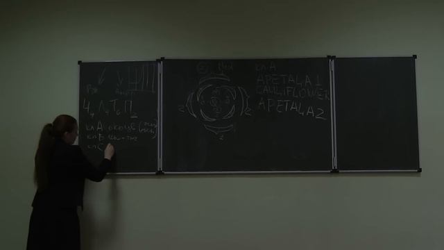 Физиология растений. Часть 1. Быкова Е.А. 03.11.2014