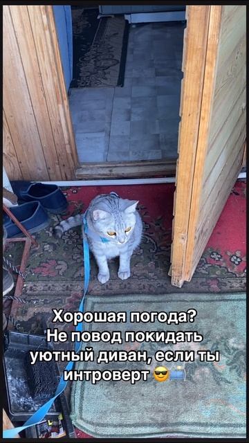 03-06-2025