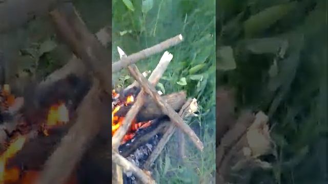 Мысли вслух, у костра