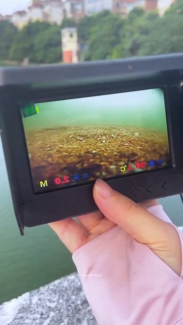 Girl Spots Fish and Snake in River via Camera #shortsvideo