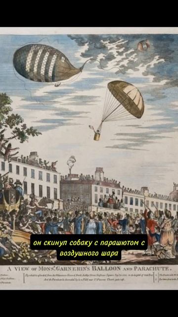 Полет собаки #этотдень #news #top #история #history #факты #facts #ussr #France