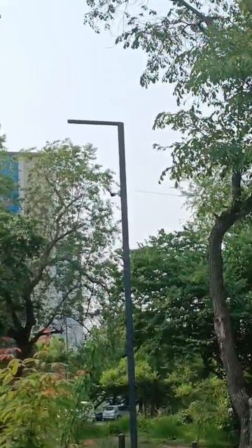 WhatsApp Video 2025-06-03 at 16.37.17