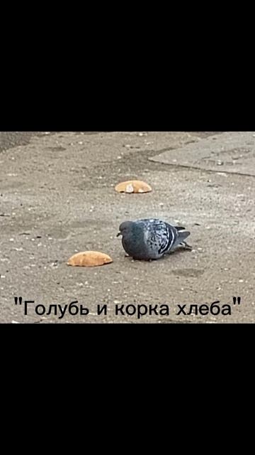 название всех картин из галереи куклы-Титаника.