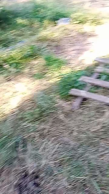 1000081557.mp4