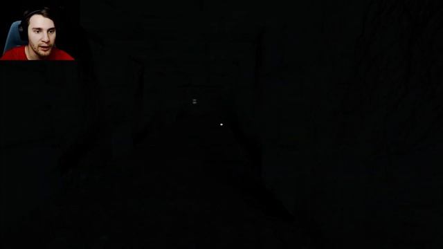 Он Заставляет Видеть То, Чего Нет! - Penumbra: Black Plague
