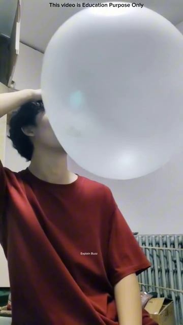 Record-breaking gum bubble ! #shortsvideo