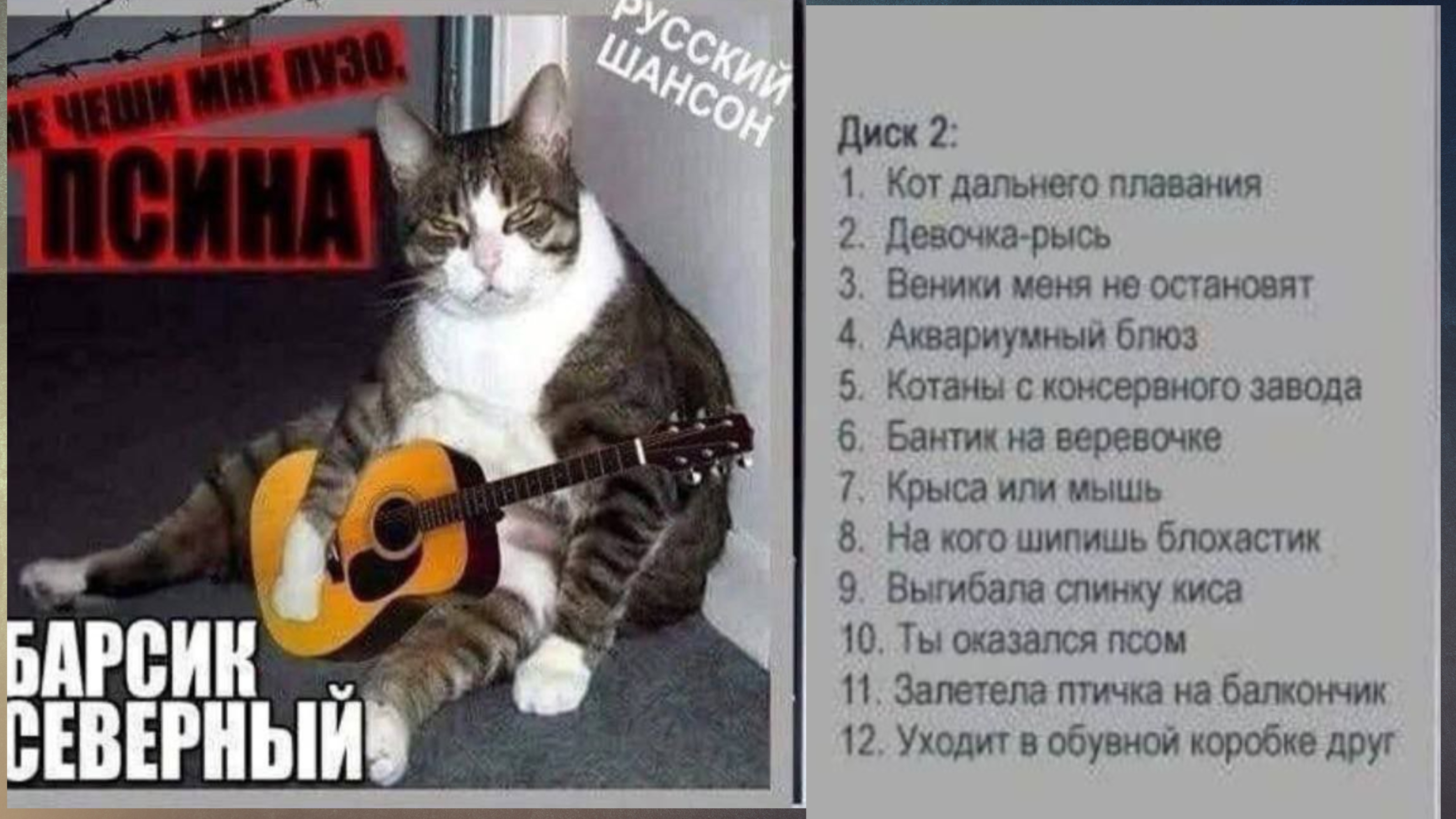 Кот дальнего плавания (второй диск Барсика Северного)