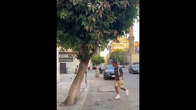 ПРИКОЛЫ НА ЛЮБОЙ ВКУС: СМЕШНЫЕ ВИДЕО ДЛЯ ВСЕХ